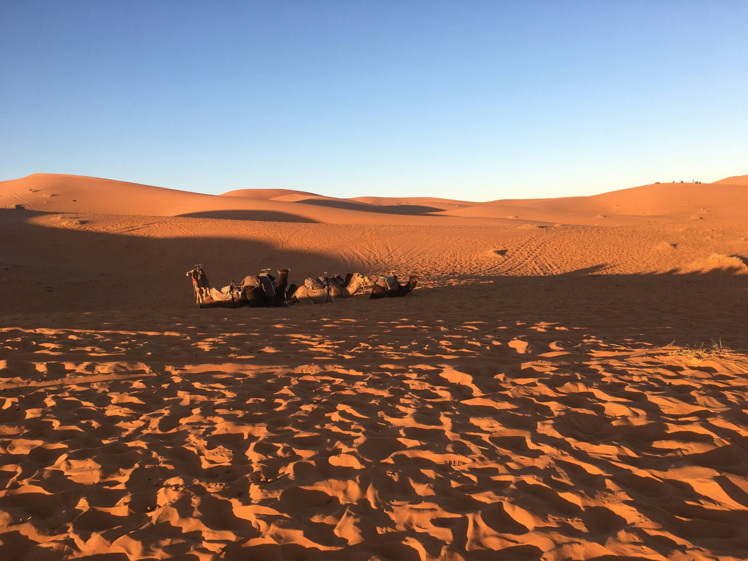 ana araujo 3izHAeCaCMQ unsplash scaled