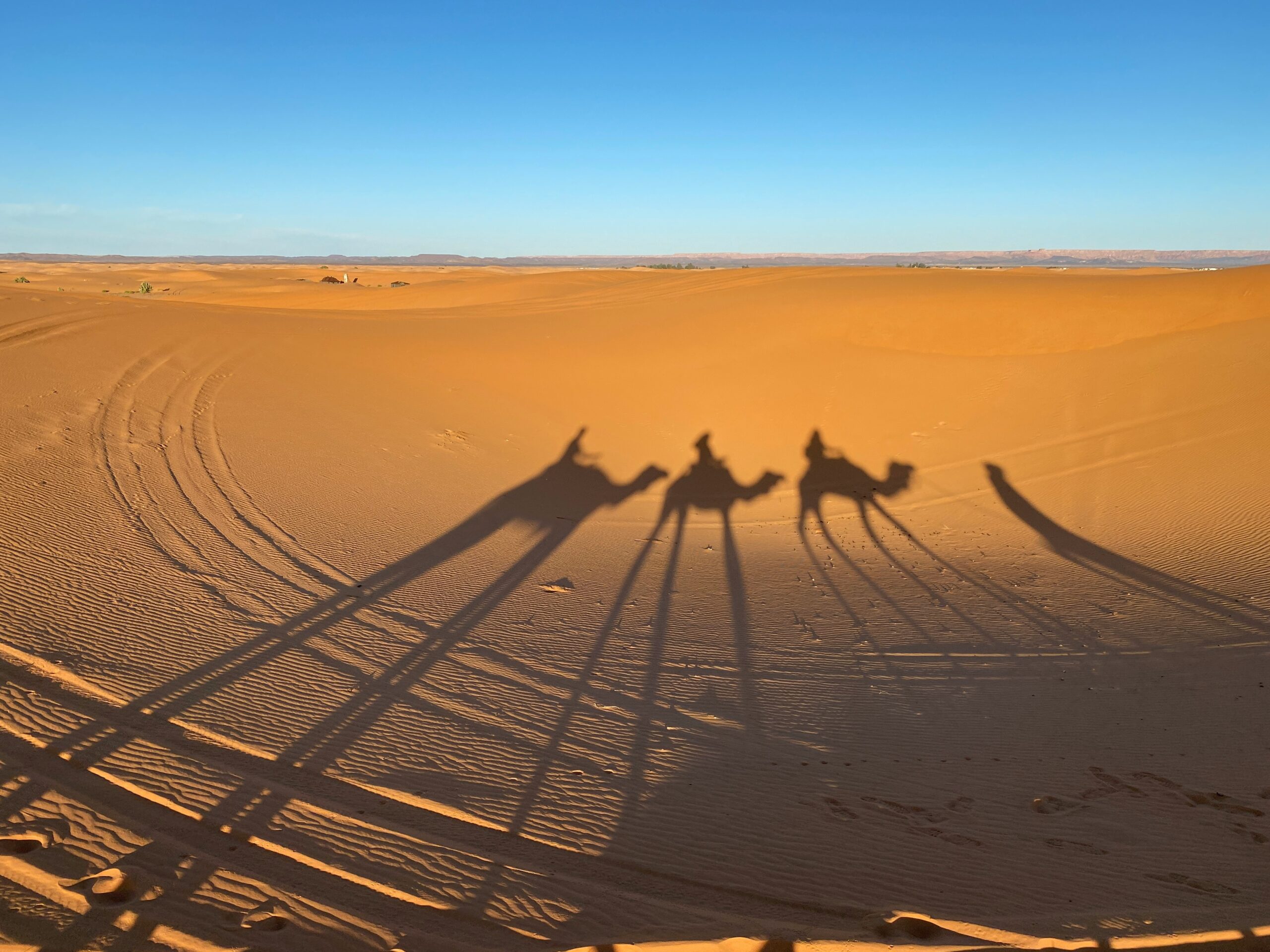 jillian amatt artistic voyages t6Xo_Pc7Zsg unsplash scaled