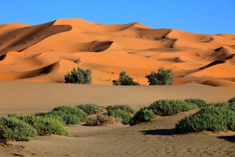merzpouga dune
